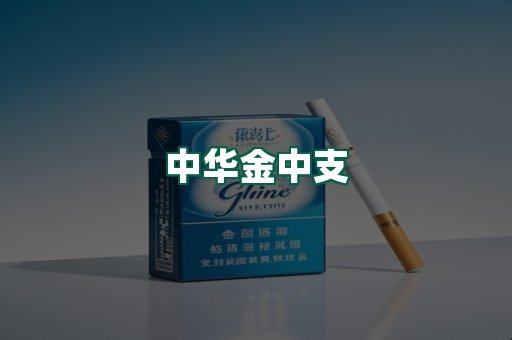 中华金中支